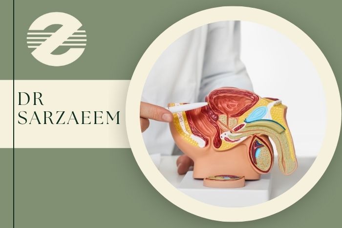 نمونه برداری پروستات در کرج توسط پزشک حاذق و با تجربه نمونه برداری پروستات در کرج توسط پزشک حاذق و با تجربه