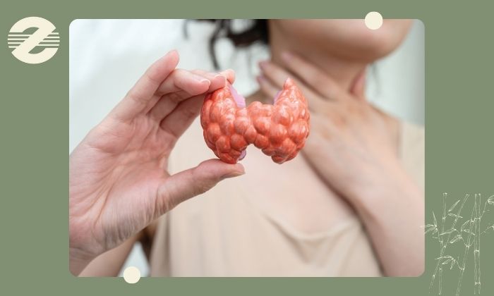 اهمیت نمونه برداری FNA تیروئید اهمیت نمونه برداری FNA تیروئید