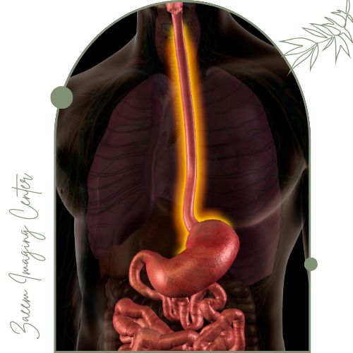 آمادگی‌های قبل از عکس رنگی از مری و معده