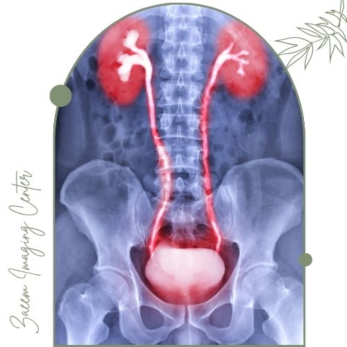 عکس رنگی مثانه عکس رنگی مثانه