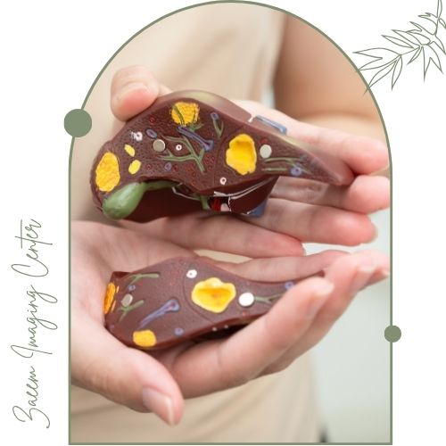 فیبرواسکن کبد چیست؟ فیبرواسکن کبد چیست؟