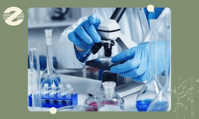 خدمات بیوپسی در مرکز زعیم خدمات بیوپسی در مرکز زعیم