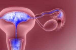 عکس رنگی رحم عکس رنگی رحم