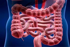 عکس رنگی روده (باریم انما) عکس رنگی روده (باریم انما)