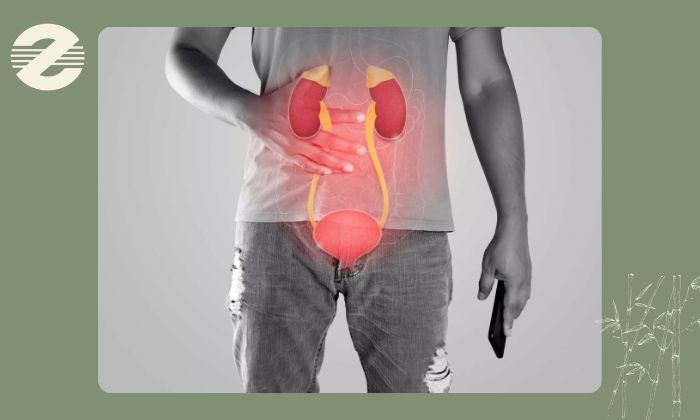 چرا عکس رنگی رتروگرید انجام میشود؟ چرا عکس رنگی رتروگرید انجام میشود؟